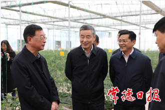 戴道晉來常調(diào)研時(shí)強(qiáng)調(diào)：讓廣大群眾切實(shí)享受供銷社綜合改革成果