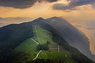 最美茶園白云山