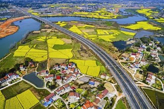 長龍臥波