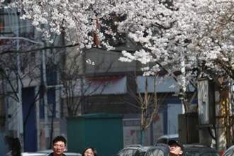 高山街賞花