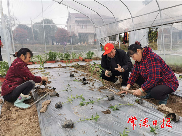 微信圖片_20210305184008.jpg