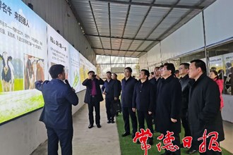 省領導來常調(diào)研春耕生產(chǎn)與鄉(xiāng)村振興工作