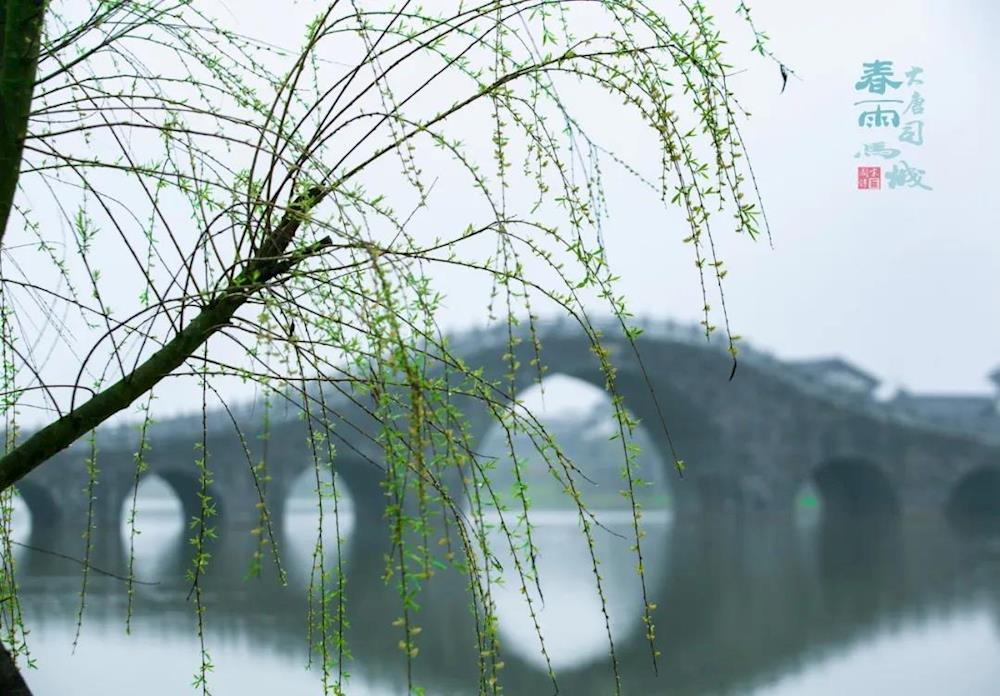 b0050d2e1a3e482caa074bc972c4ffb2.jpg