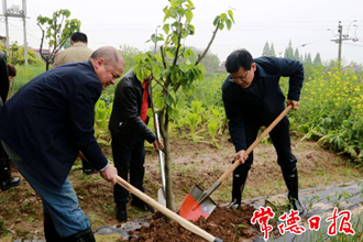 市政協(xié)開(kāi)展義務(wù)植樹(shù)活動(dòng)