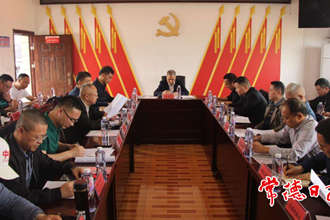 市領(lǐng)導(dǎo)調(diào)研指出：將涂家湖村打造成名副其實(shí)的鄉(xiāng)村振興示范村