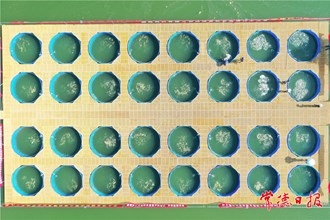 致富棋盤(pán)