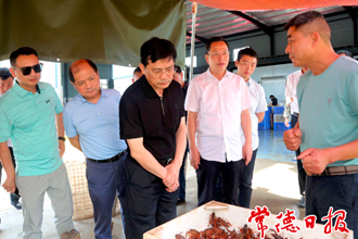 市領(lǐng)導(dǎo)赴安鄉(xiāng)調(diào)研鄉(xiāng)村振興工作時(shí)要求：真正實(shí)現(xiàn)農(nóng)業(yè)強(qiáng)、農(nóng)村美、農(nóng)民富