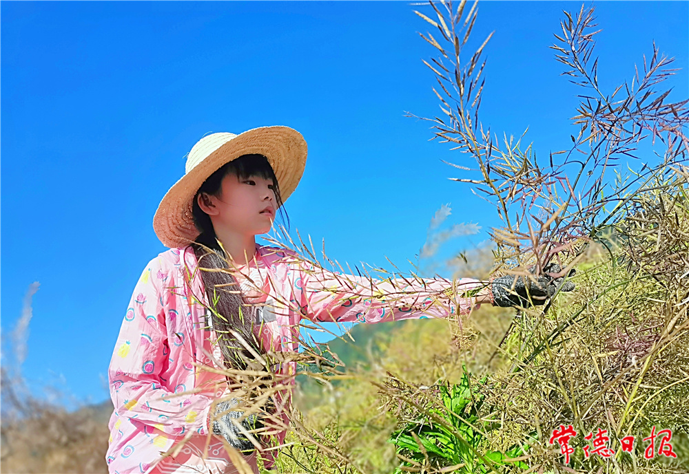 龔紅梅-勤勞的小蜜蜂-5-1.jpg