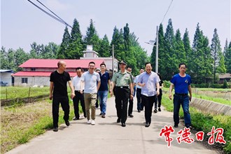 市領導在團結村調研鄉(xiāng)村振興工作時強調：落實各項措施 出實招干實事