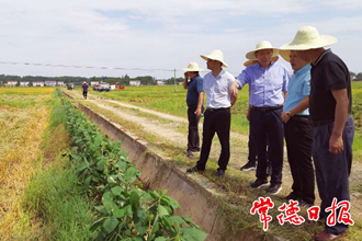 全省水稻機(jī)收減損現(xiàn)場(chǎng)演示會(huì)籌備工作專題會(huì)議強(qiáng)調(diào)：抓好活動(dòng)籌備 彰顯常德作為