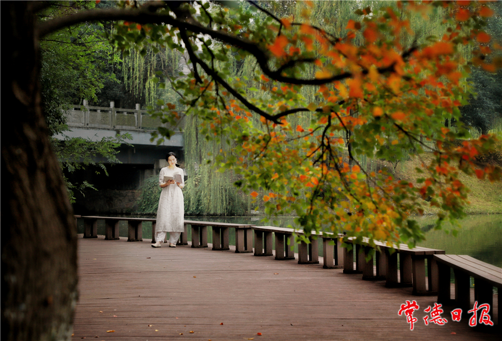 李浩洲-丁玲公園一角-1.jpg