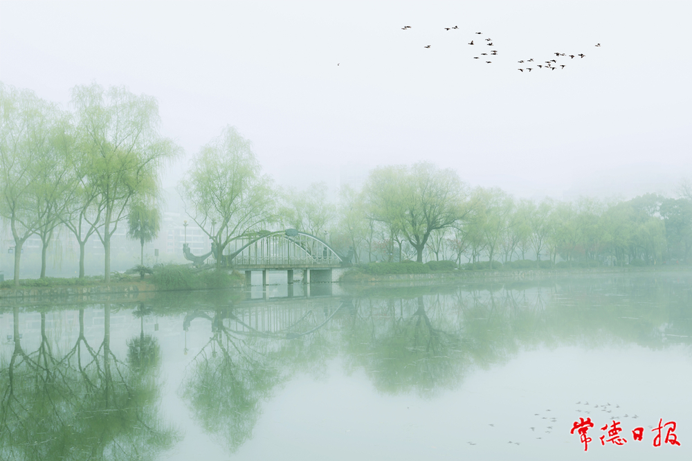 宋才華-柳岸鳥鳴-1_副本.jpg