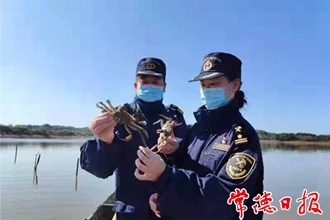 【經(jīng)濟】漢壽產(chǎn)大閘蟹首次出口非洲 外貿(mào)實現(xiàn)新突破