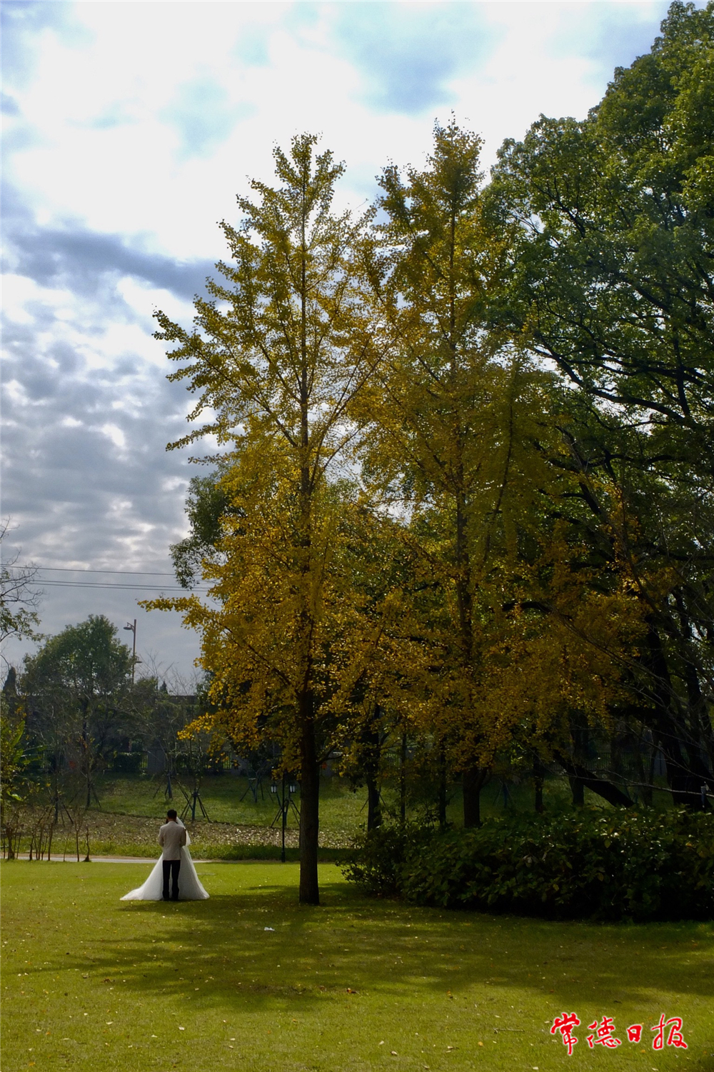 徐家青-屈原公園的冬日-1.jpg