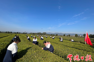 【社會(huì)】?茶鄉(xiāng)學(xué)子的茶藝課