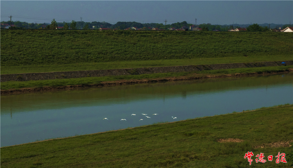 高長(zhǎng)慈-住在白洋河-1.jpg