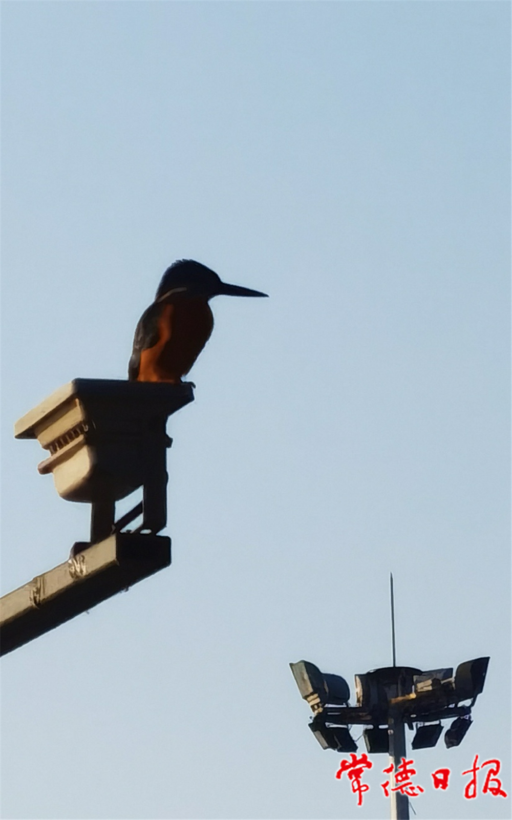 sj葉培明-守望-1.jpg