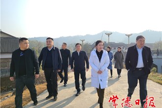 市領(lǐng)導(dǎo)帶隊巡查桃花源水溪河