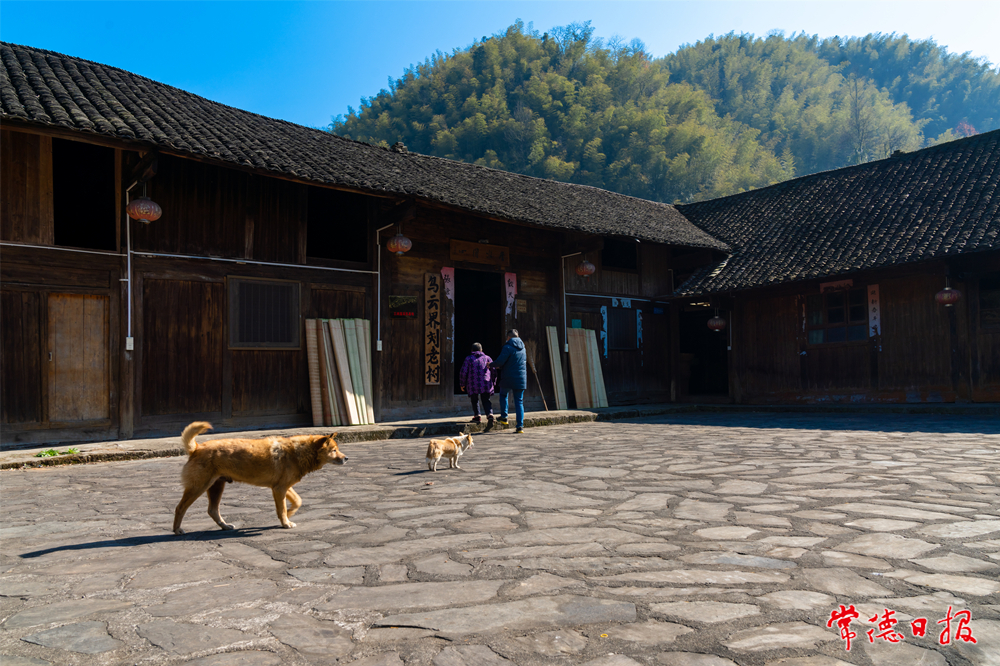 yyyyxxxxx_DSC3704_副本.jpg
