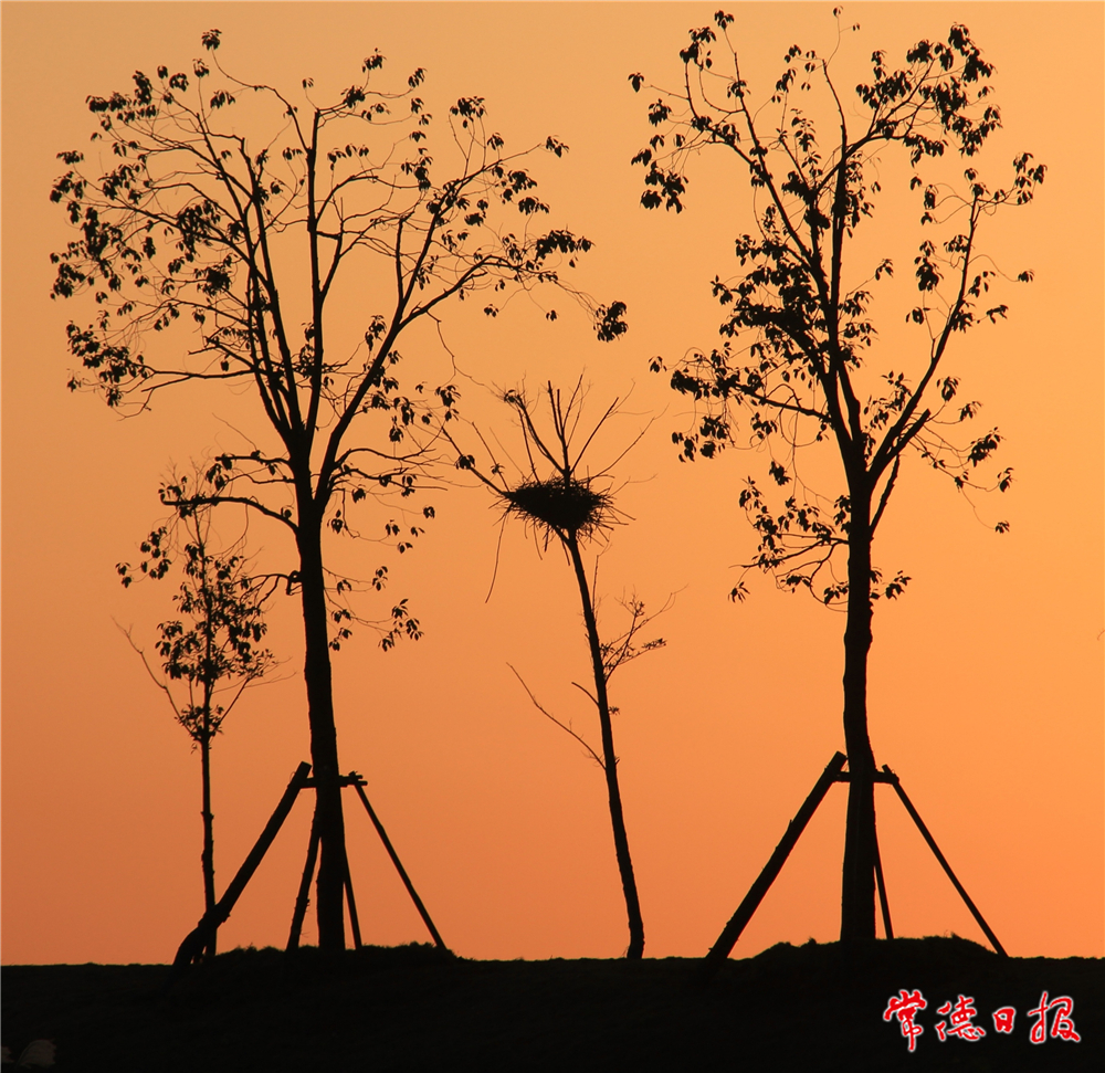 周先陽(yáng)-溫暖之家-1.jpg