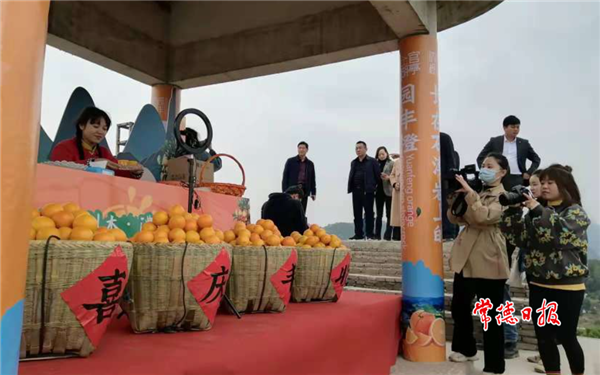 微信截圖_20220111181119.png