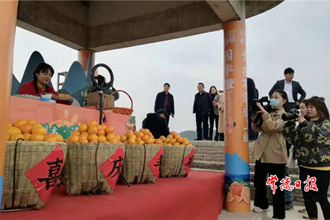【經濟】臨澧刻木山鄉(xiāng)園豐臍橙喜摘全省金獎