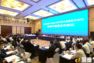 常德代表團(tuán)繼續(xù)審查省政府工作報(bào)告及其他報(bào)告