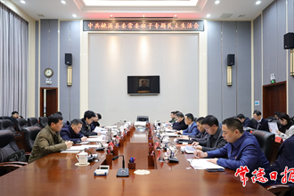 市領(lǐng)導指導桃源縣委常委班子黨史學習教育專題民主生活會