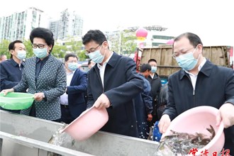 880萬尾魚苗“安家”沅江 常德開展魚類人工增殖放流活動(dòng)