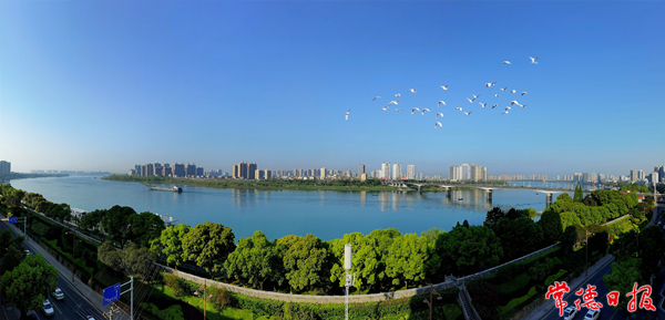 劉圖強-生態(tài)柳城-1_副本.jpg