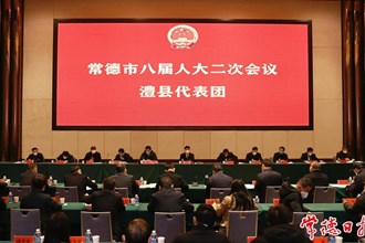 曹志強參加澧縣代表團分團審議