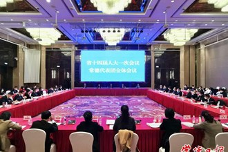 秦國文在參加常德代表團集中審議時指出 充分發(fā)揮自身優(yōu)勢 努力樹立全省工作標桿