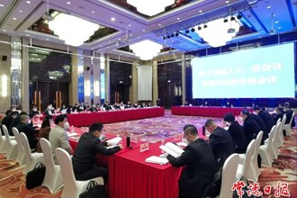 常德代表團集中審議省政府工作報告及其他報告