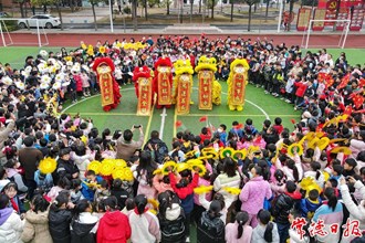【攝影報(bào)道】校園舞獅慶元宵