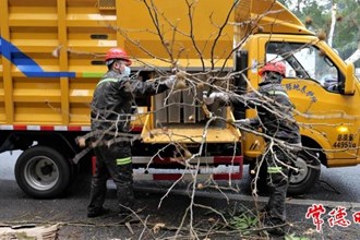 【社會】常德市首臺綠化垃圾粉碎車利落上崗