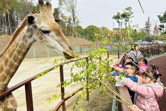 【社會】同發(fā)野生動物園迎來小客人