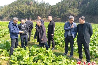 常德蔬菜專家跨省調(diào)研促榨菜產(chǎn)銷對(duì)接