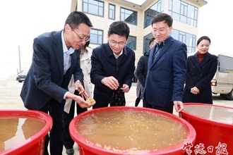 曹志強深入鼎城區(qū)調(diào)研春耕備耕、高標(biāo)準(zhǔn)農(nóng)田建設(shè)工作