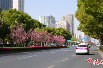 【賞花地圖】春風(fēng)正好 桃花正濃