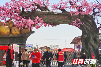 【社會】西湖：金色桃?；ㄩ_如畫 鄉(xiāng)村振興再展新顏