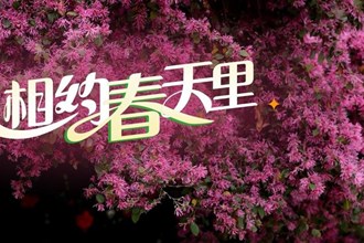 【海報】相約常德，擁抱春天