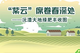【長(zhǎng)圖】“紫云”席卷春深處——沅澧大地綠肥豐收?qǐng)D