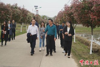 市領(lǐng)導(dǎo)調(diào)研沔泗村鄉(xiāng)村振興工作