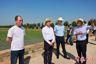 曹志強(qiáng)在澧縣調(diào)研時強(qiáng)調(diào)：全力穩(wěn)面積穩(wěn)產(chǎn)量促增效促增收 不斷擦亮“稻作之源”的金字招牌