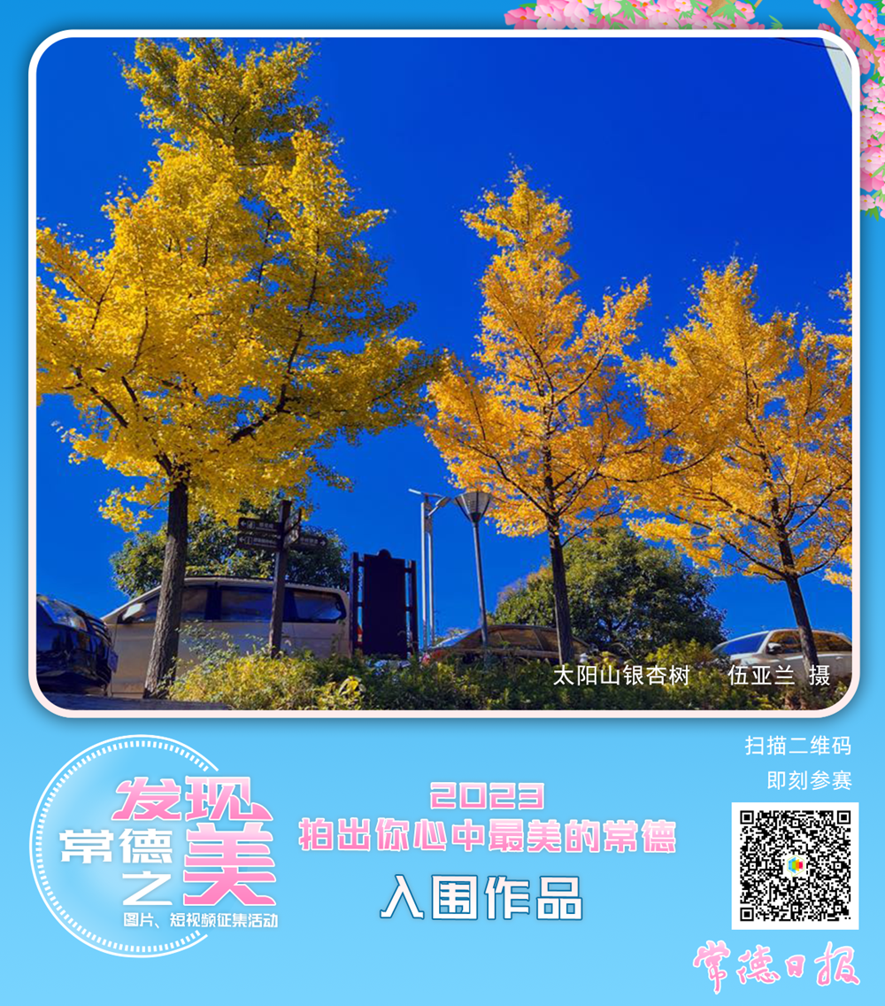 40f8046dedd64337871f7afe559d4965.png