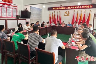 市領(lǐng)導(dǎo)赴桃源縣調(diào)研指出：發(fā)展鄉(xiāng)村旅游產(chǎn)業(yè) 賦能庭院經(jīng)濟(jì)建設(shè)