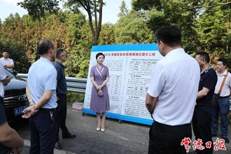 市領導督導319國道大中修項目