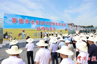 曹志強在全市水稻夏收夏種機收減損現(xiàn)場觀摩暨糧食工作會議上強調(diào)：扛牢糧食大市責任 堅決完成全年糧食生產(chǎn)任務