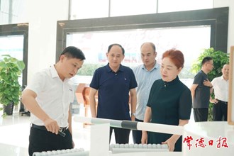 湖南省第二生態(tài)環(huán)境保護督察組赴桃源縣下沉督察