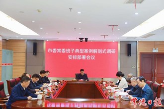 市委常委班子典型案例解剖式調研安排部署會召開